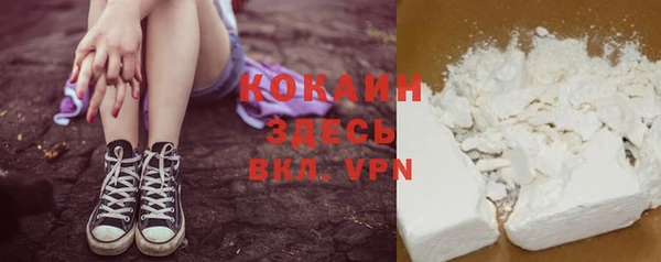индика Арсеньев