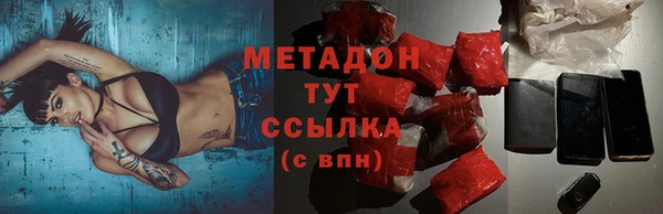 индика Арсеньев