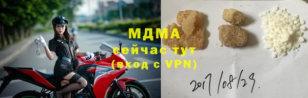 индика Арсеньев