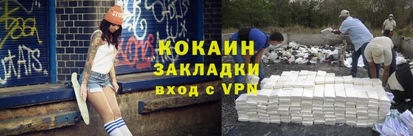 индика Арсеньев