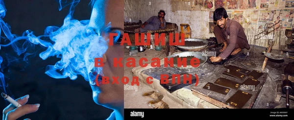 индика Арсеньев
