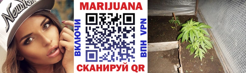 как найти Нефтекамск Канабис сатива